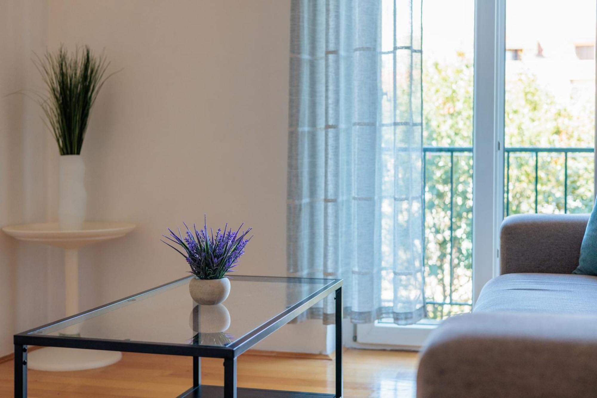 Apartment Lux Centre